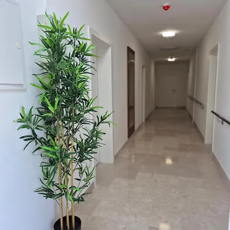 Jelena Hotel 3*